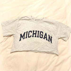Univ of Michigan cozy cropped tee